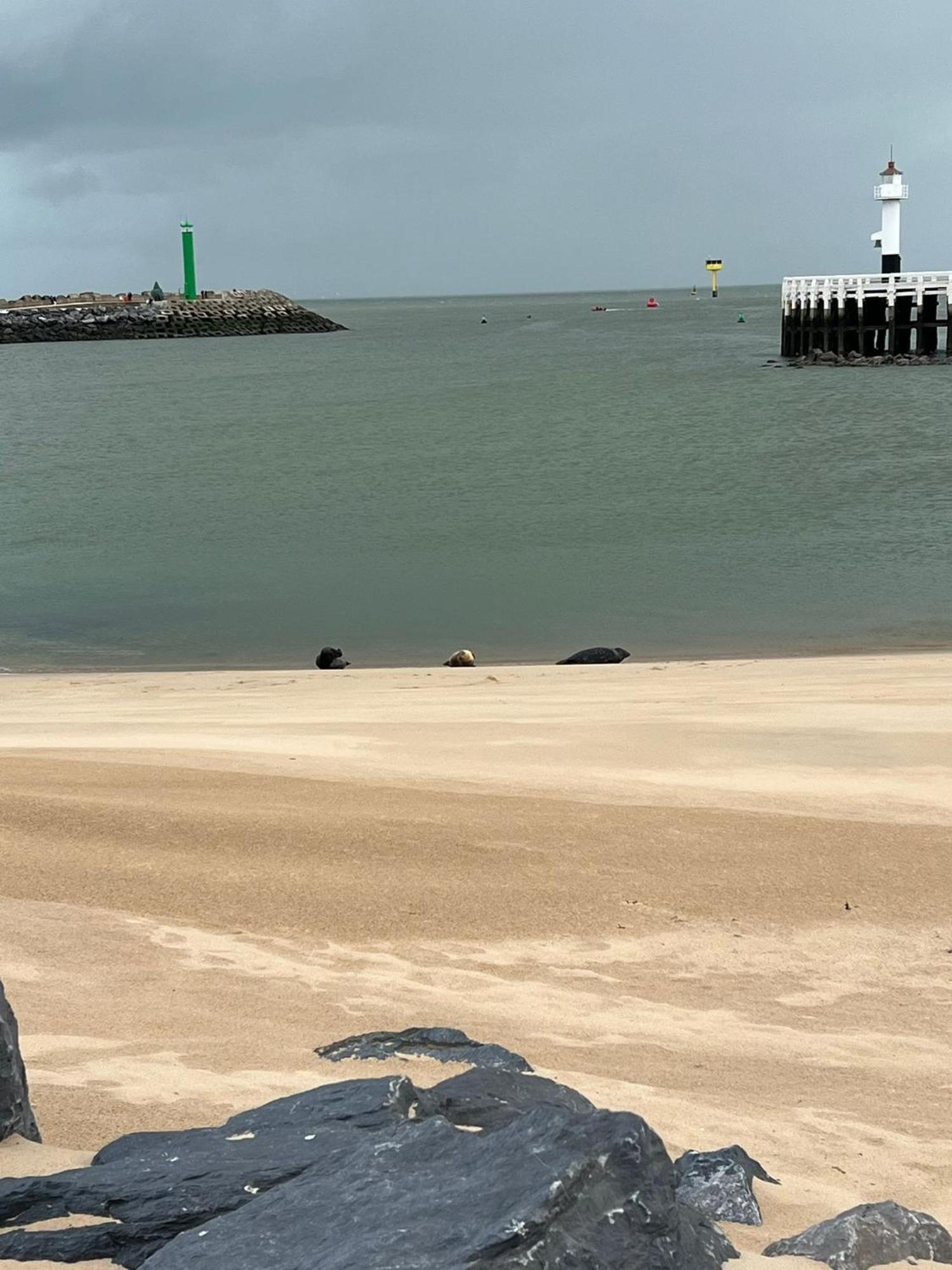 Apartamento Bonelly Ostend
